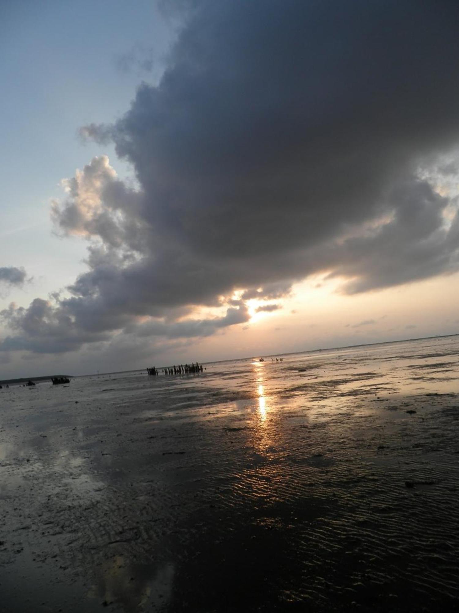 8 Pers House 'Capitein Theis' With Seaside In Front Of The Lauwersmeer Anjum 외부 사진