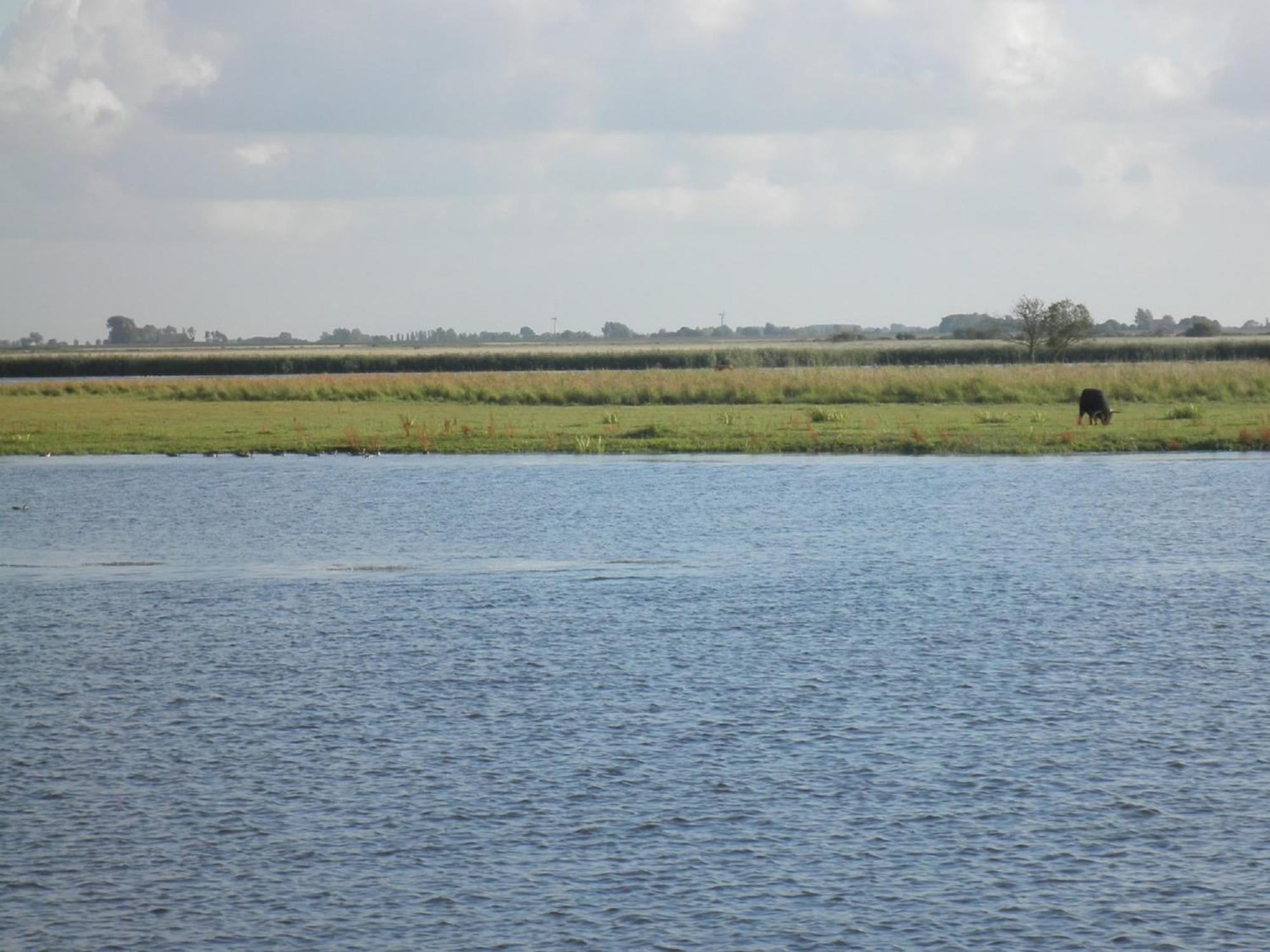8 Pers House 'Capitein Theis' With Seaside In Front Of The Lauwersmeer Anjum 외부 사진